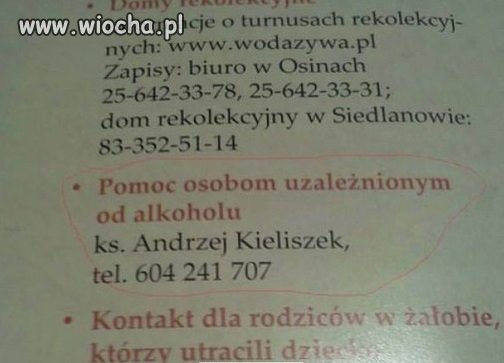 Widać od razu, że profesjonalista w zawodzie.