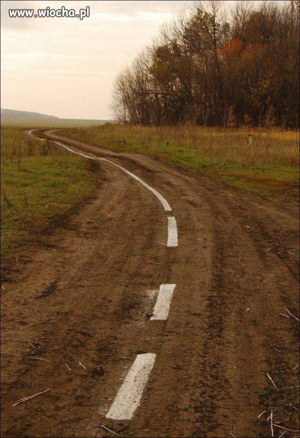 Nie widać