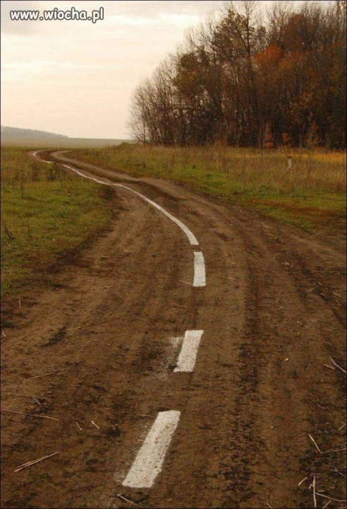 Nie widać