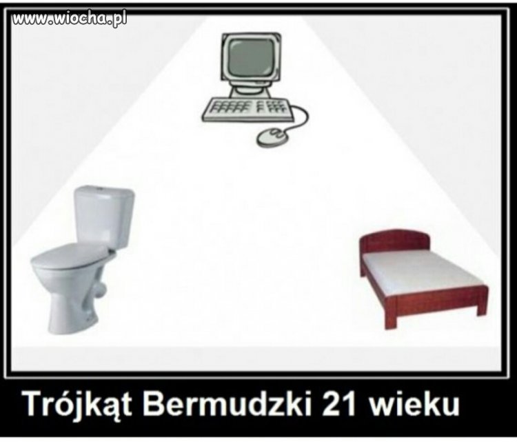 Opis zdjęcia poniżej 