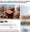 Nakaz serwowania dań z wieprzowiny