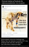 Tylko "Lubię to" się liczy