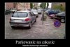 Prawo jest po to by je łamać 