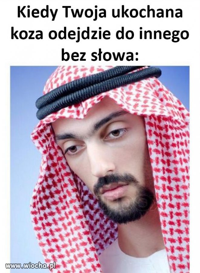 Oni też mają uczucia