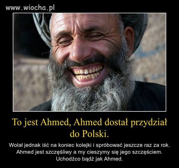 Szkoda ... (jak powiedział Pawlak)
