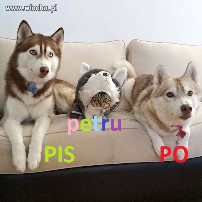 ..uj,doopa i kamieni kupa...