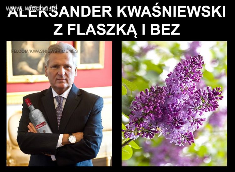 Cały Aleksander