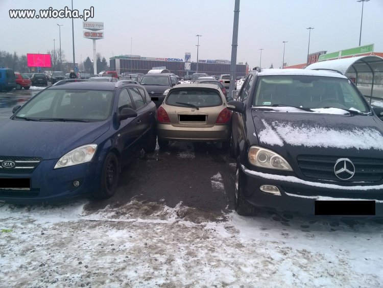 Mistrz parkowania.