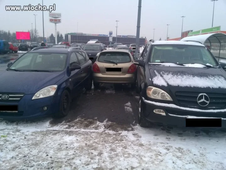 Mistrz parkowania.