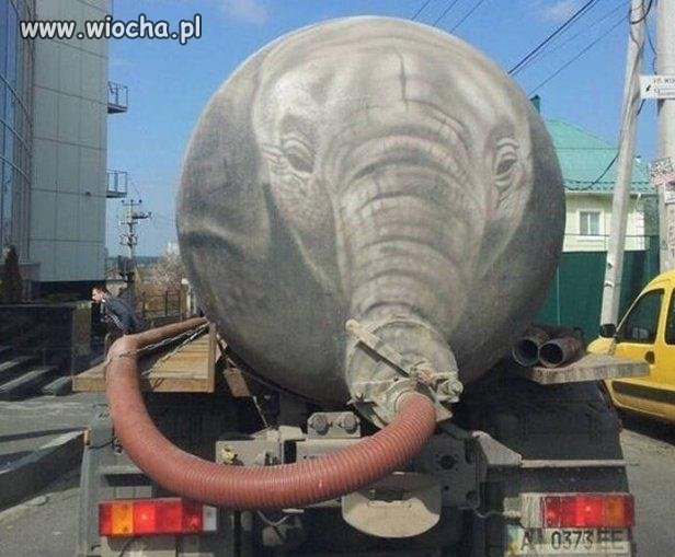 Słoń 