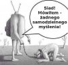 Dobrze że 