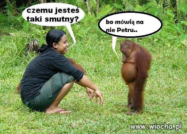 Jazda po wszystkich tylko nie po ...