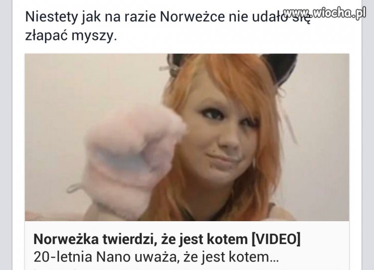 Twierdzi że jest kotem.