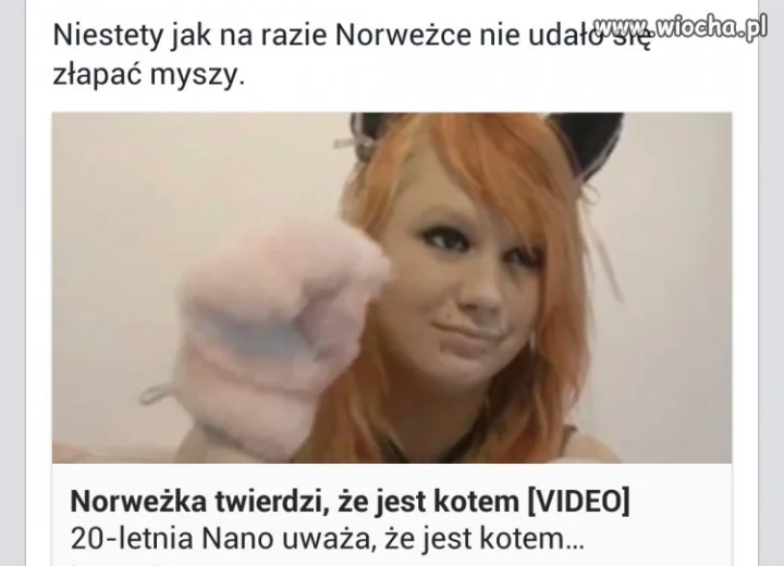 Twierdzi że jest kotem.