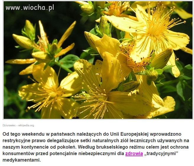 I rośnie poziom zdebilenia