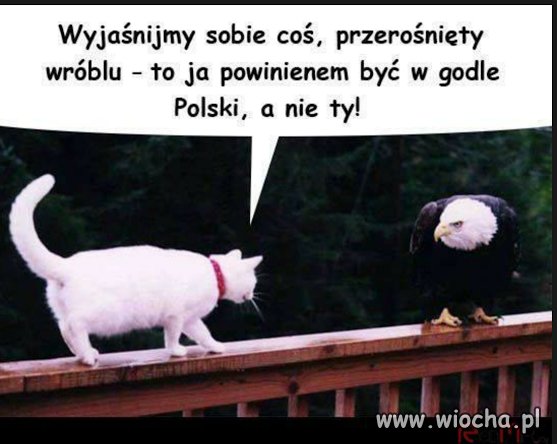 Poważna rozmowa