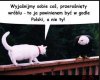 Poważna rozmowa