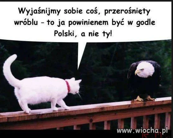 Poważna rozmowa