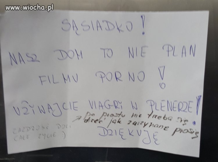Plan filmu dla dorosłych