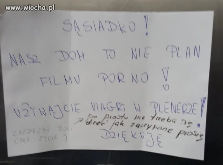 Plan filmu dla dorosłych