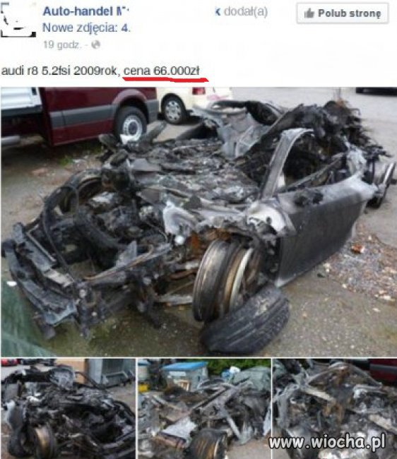 Nic tylko kupować.