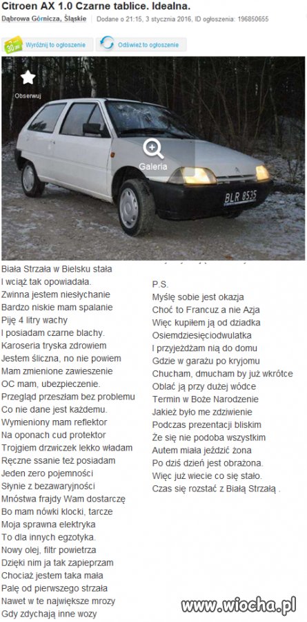Biała Strzała
