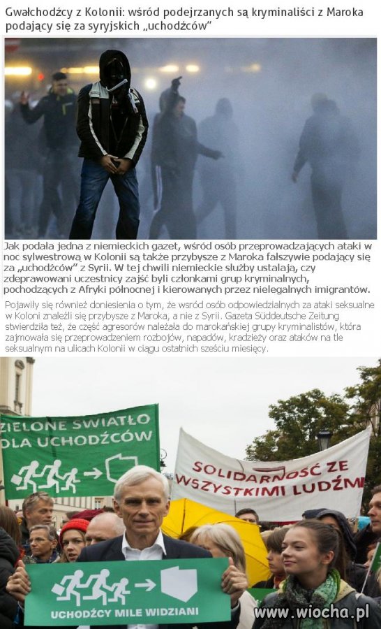 Zielone światło dla gwałchodźców ...