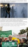 Zielone światło dla gwałchodźców ...