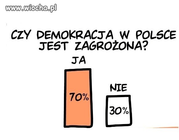 Coś w tym jest