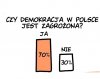 Coś w tym jest