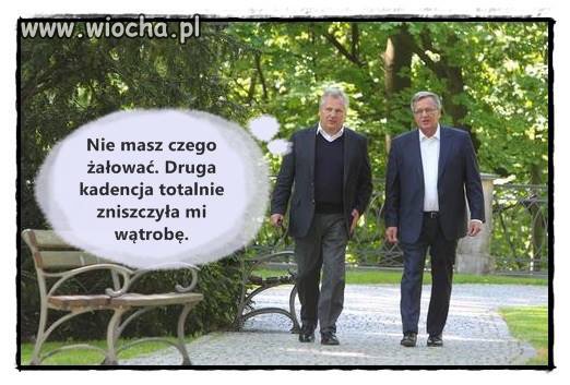 Wątrobę można przeszczepić...