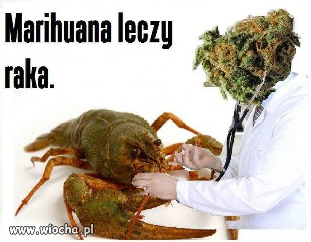 Potwierdzone info - legalizować! 
