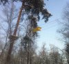 Atrakcja w parku linowym
