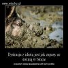 Prawda