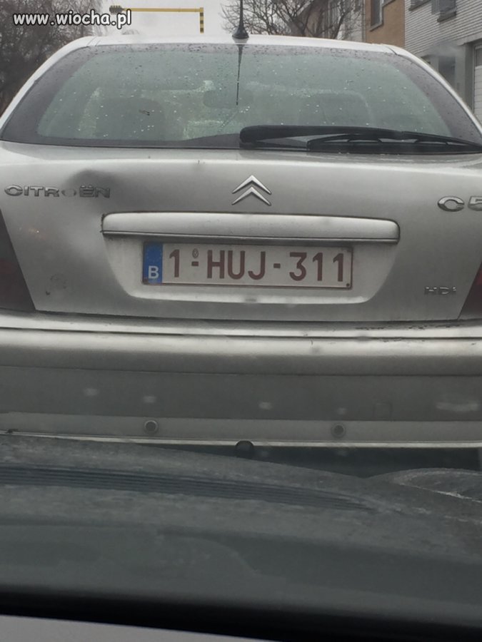 Widomo kto prowadzi 