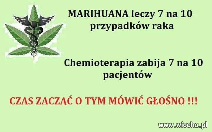 Wiocha, że jeszcze dotąd