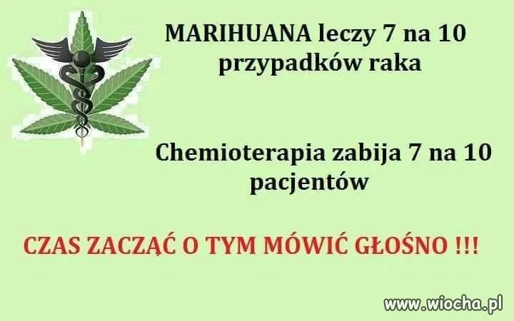 Wiocha, że jeszcze dotąd