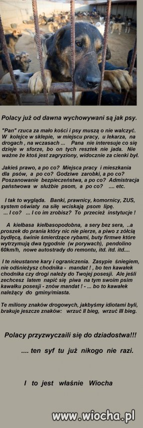  dla  tych  wszystkich , którzy ...