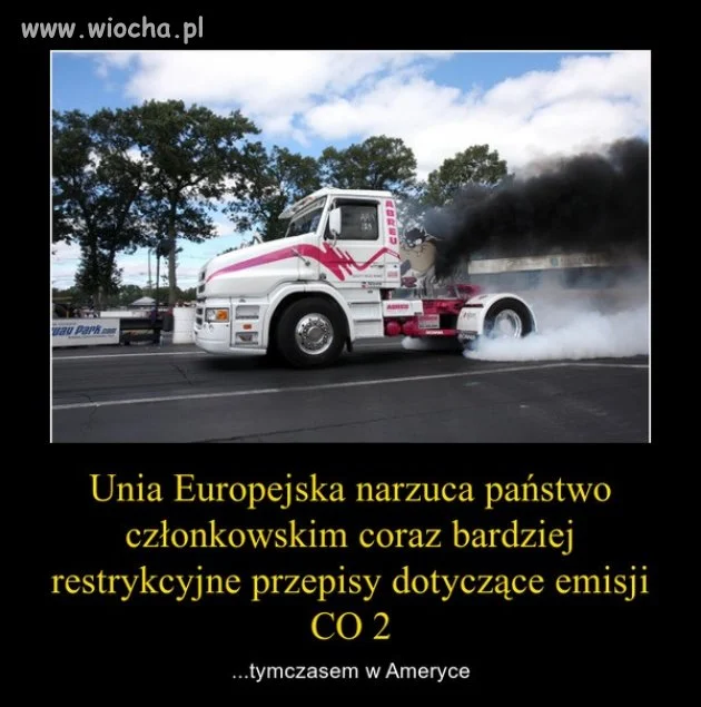 Taka mała aluzja