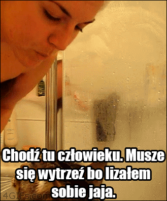 Chodź człowiek