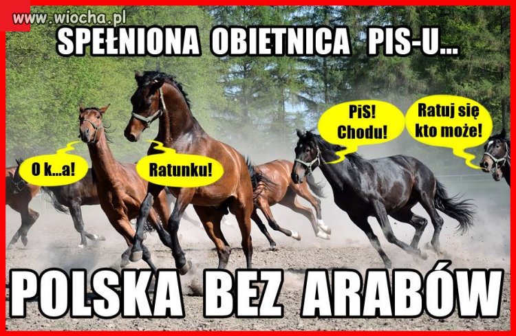 A tym czasem ...