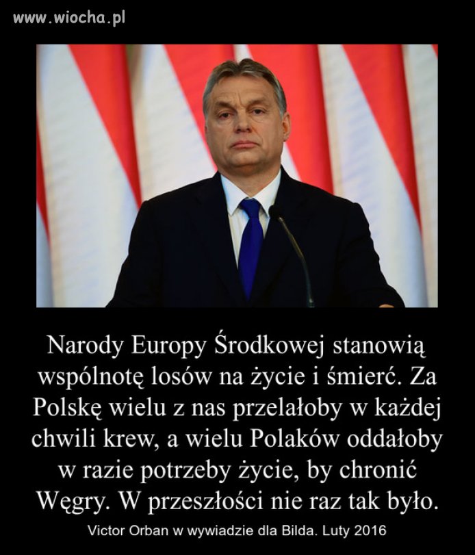 Brawo Orban