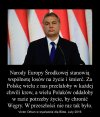 Brawo Orban