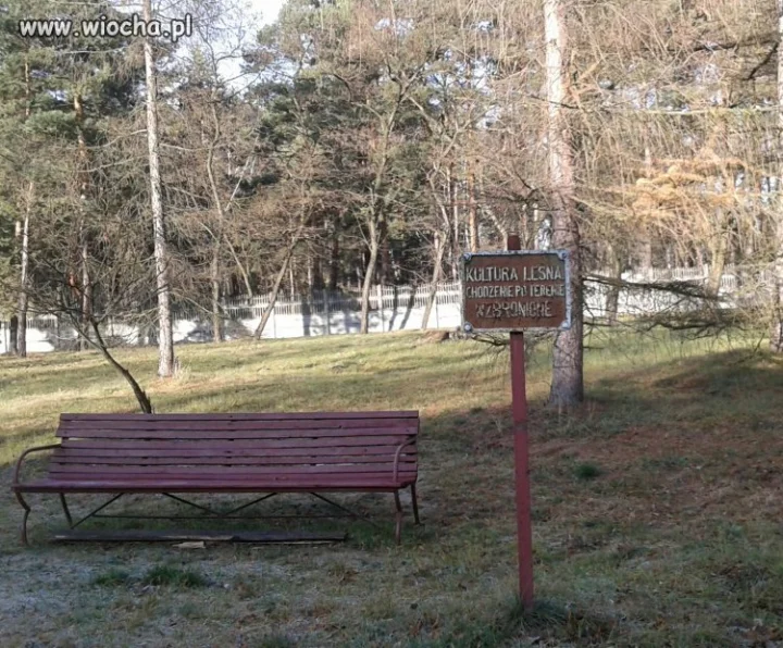 Ukochany Sosnowiec