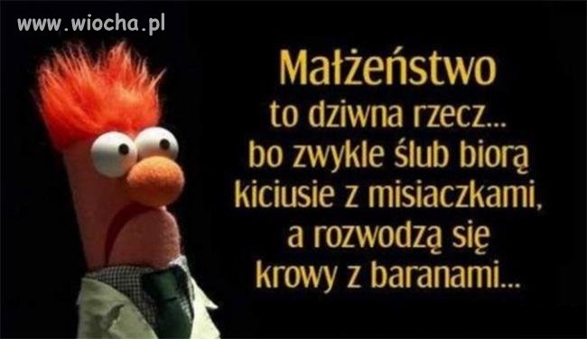 Małżeństwo