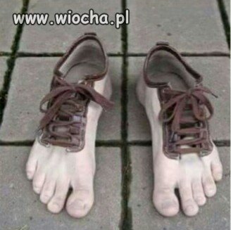 Buty Cejrowskiego 