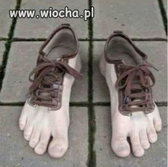 Buty Cejrowskiego 