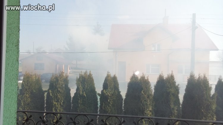 Super sąsiadka