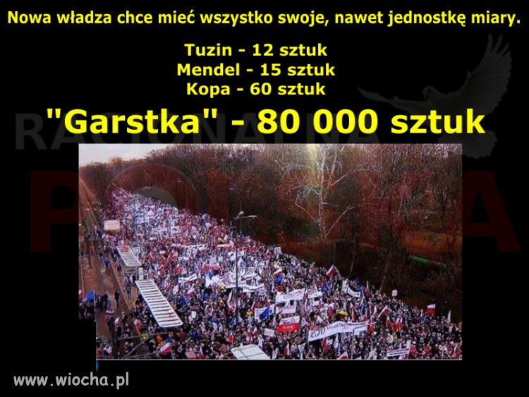 Można nazywać ich jak się chce
