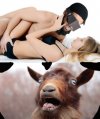 Seksualne fantazje.